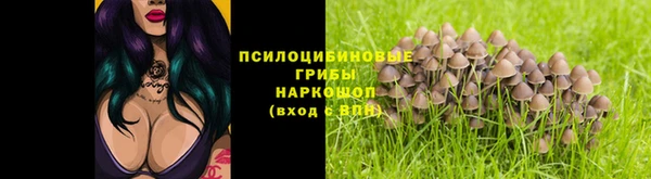 соль курить ск Алзамай