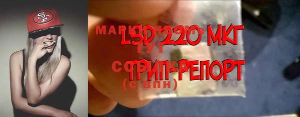 мет Алексин