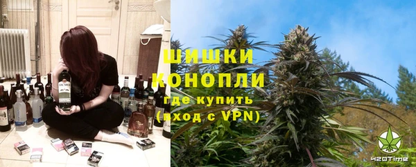 мет Алексин