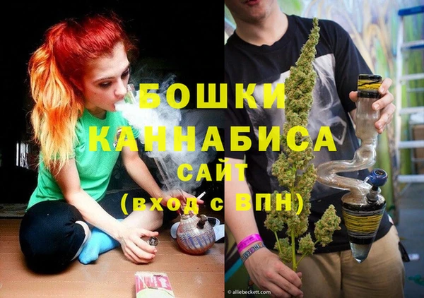 мет Алексин