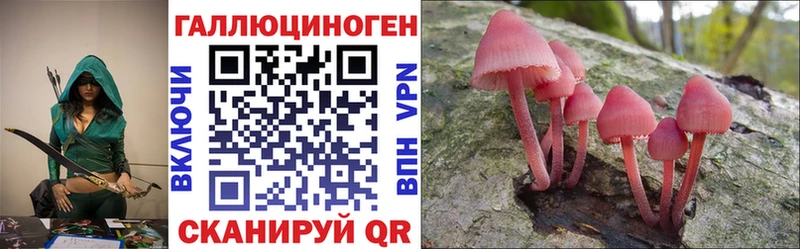 Псилоцибиновые грибы Cubensis  Белоярский 